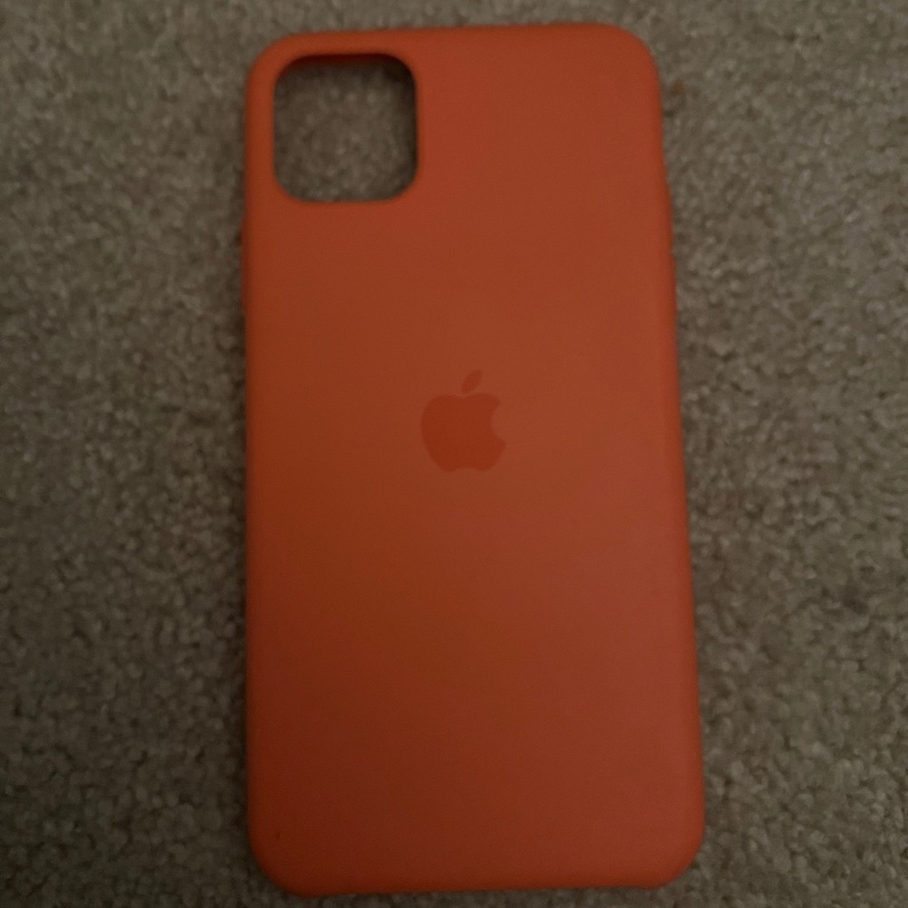 Apple case